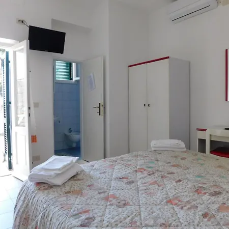 Dell'amicizia Seccheto