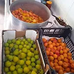 ホテル Dell'amicizia