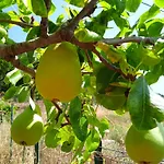 Dell'amicizia