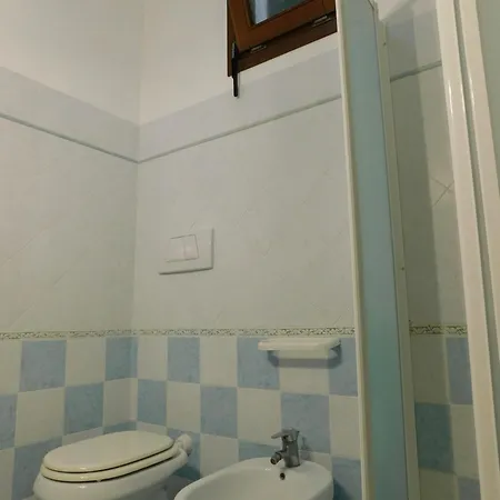 Dell'amicizia 2* Seccheto