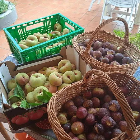 Dell'amicizia Hotel