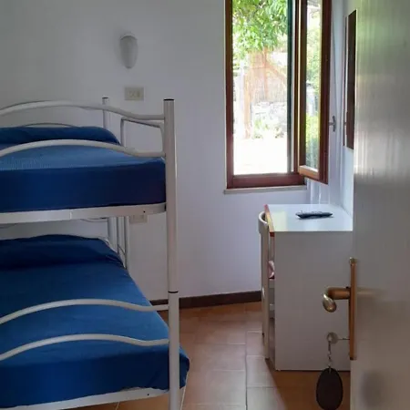 Dell'amicizia Seccheto